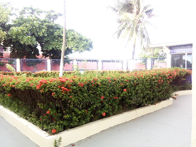 JARDIM