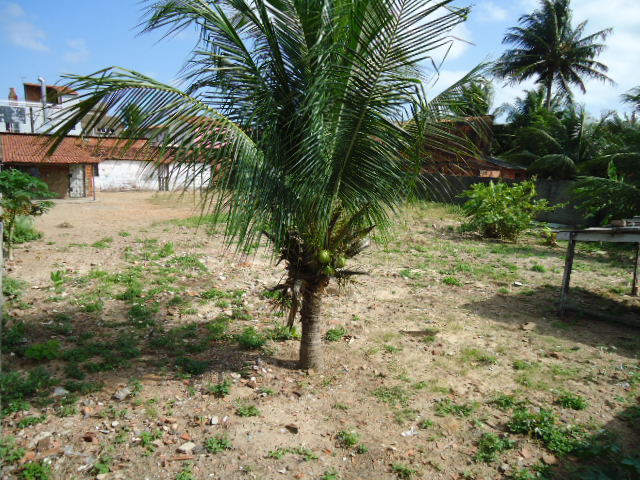 TERRENO ( &Acirc;NGULO II )