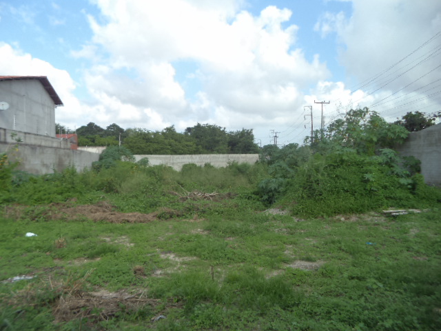 TERRENO ( &Acirc;NGULO II )