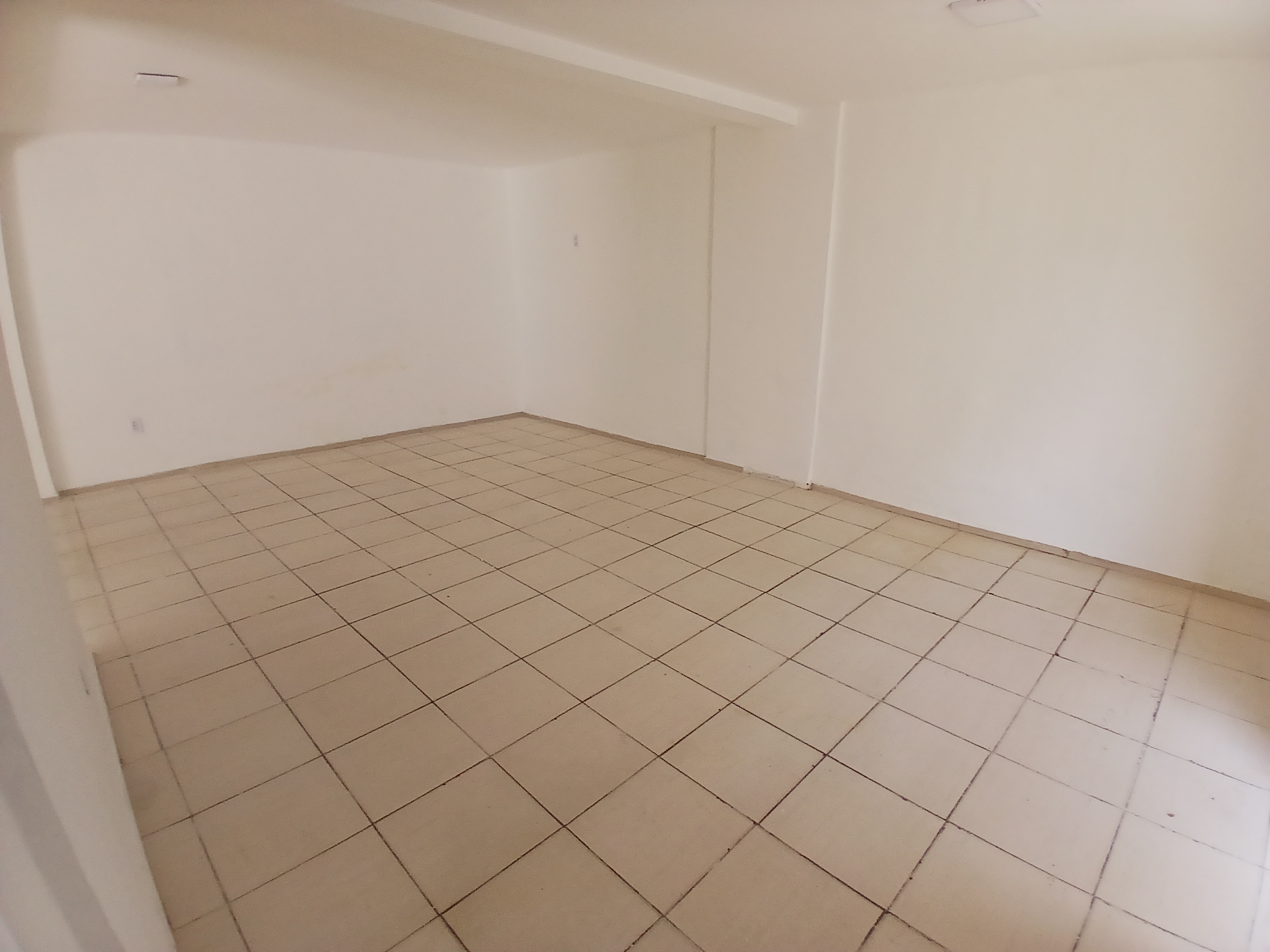 SEGUNDO SAL&Atilde;O