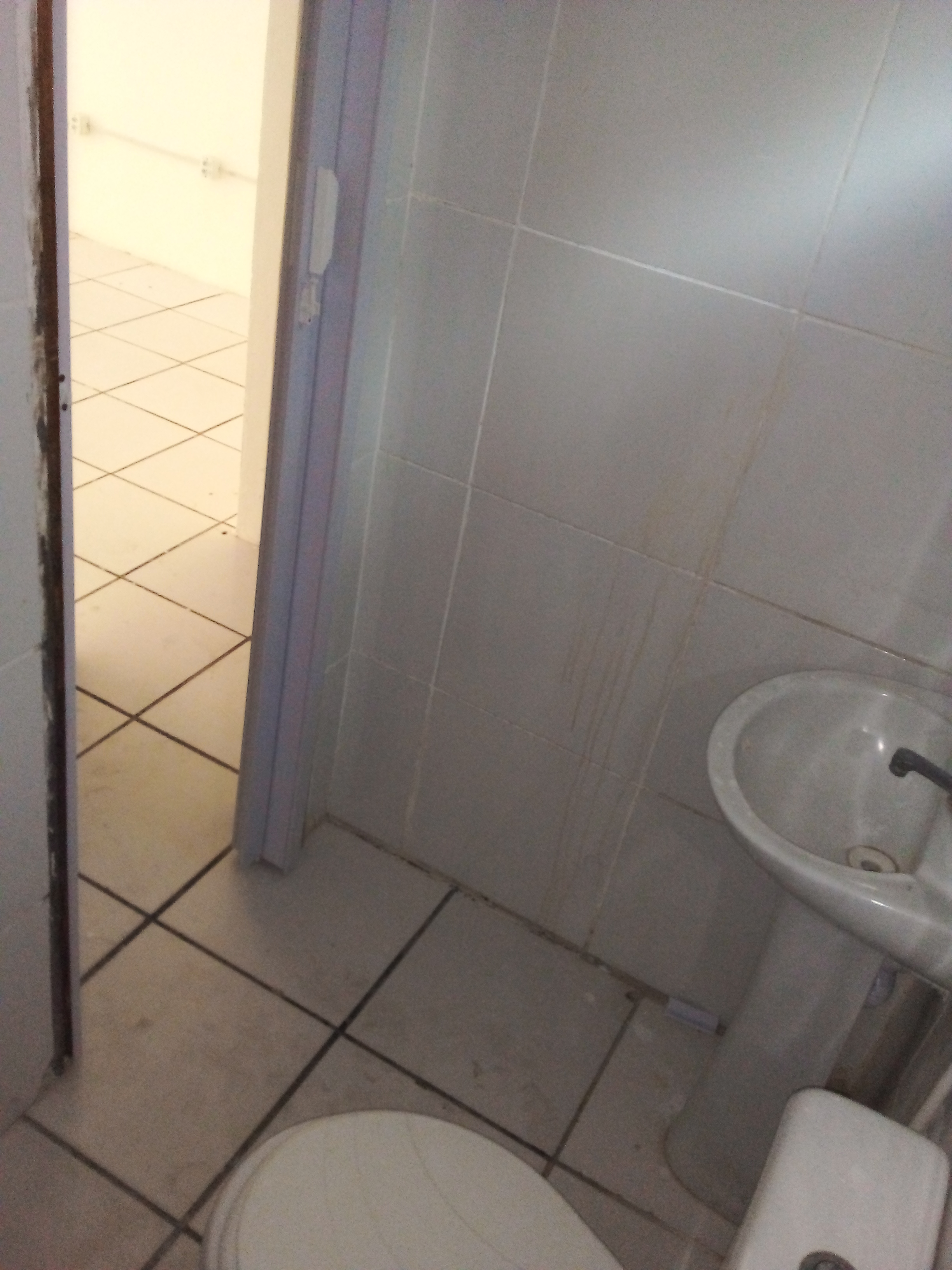 WC ( &Acirc;NGULO II )