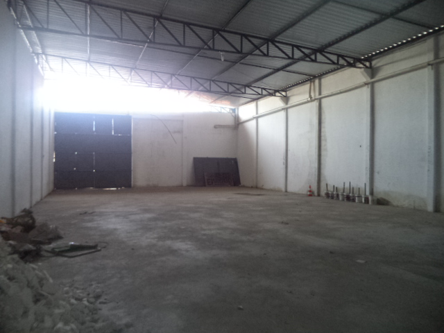 GALP&Atilde;O (ANGULO III)