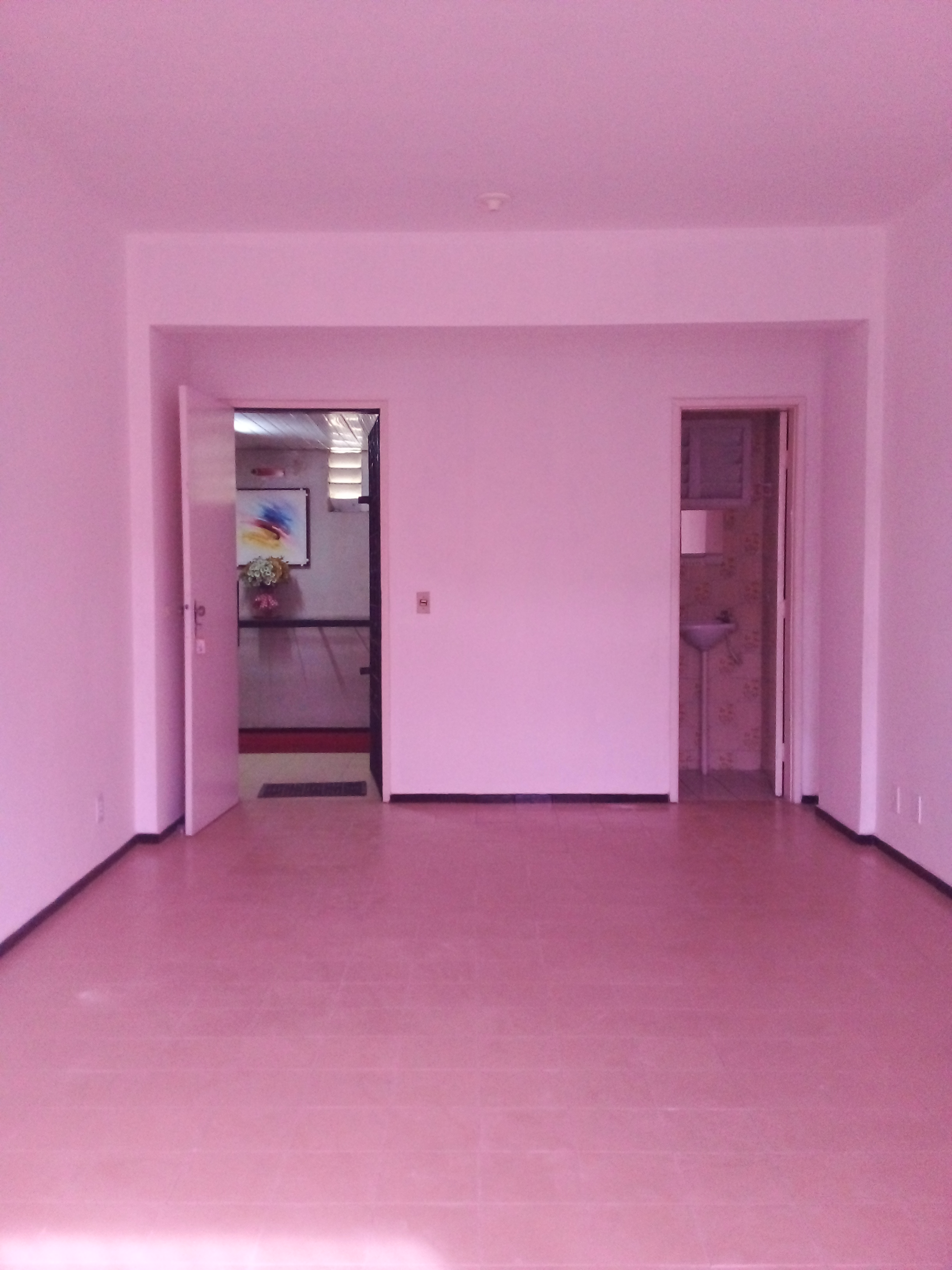 SALA PINTADA E PISO LIMPO PELA PROPRIET&Aacute;RIA P/ ENT