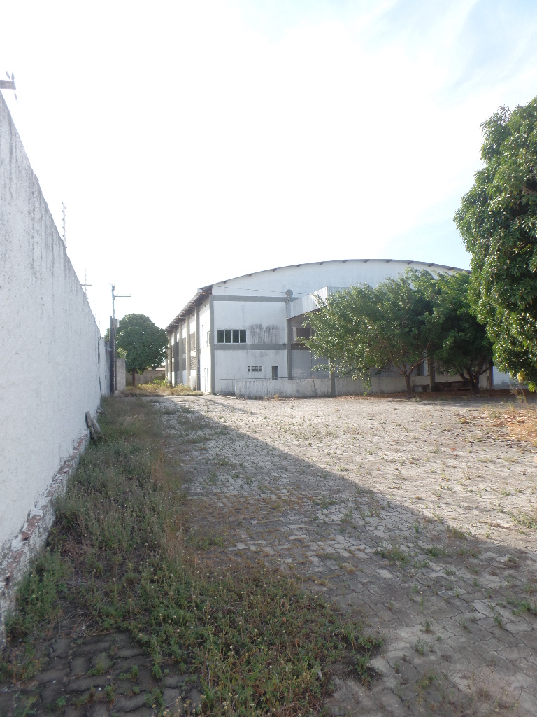 &Aacute;REA EXTERNA ANGULO II