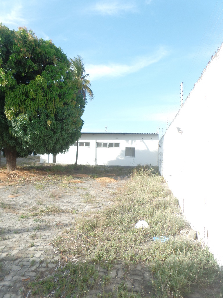 &Aacute;REA EXTERNA ANGULO III