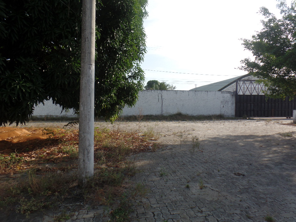 &Aacute;REA EXTERNA ANGULO IV