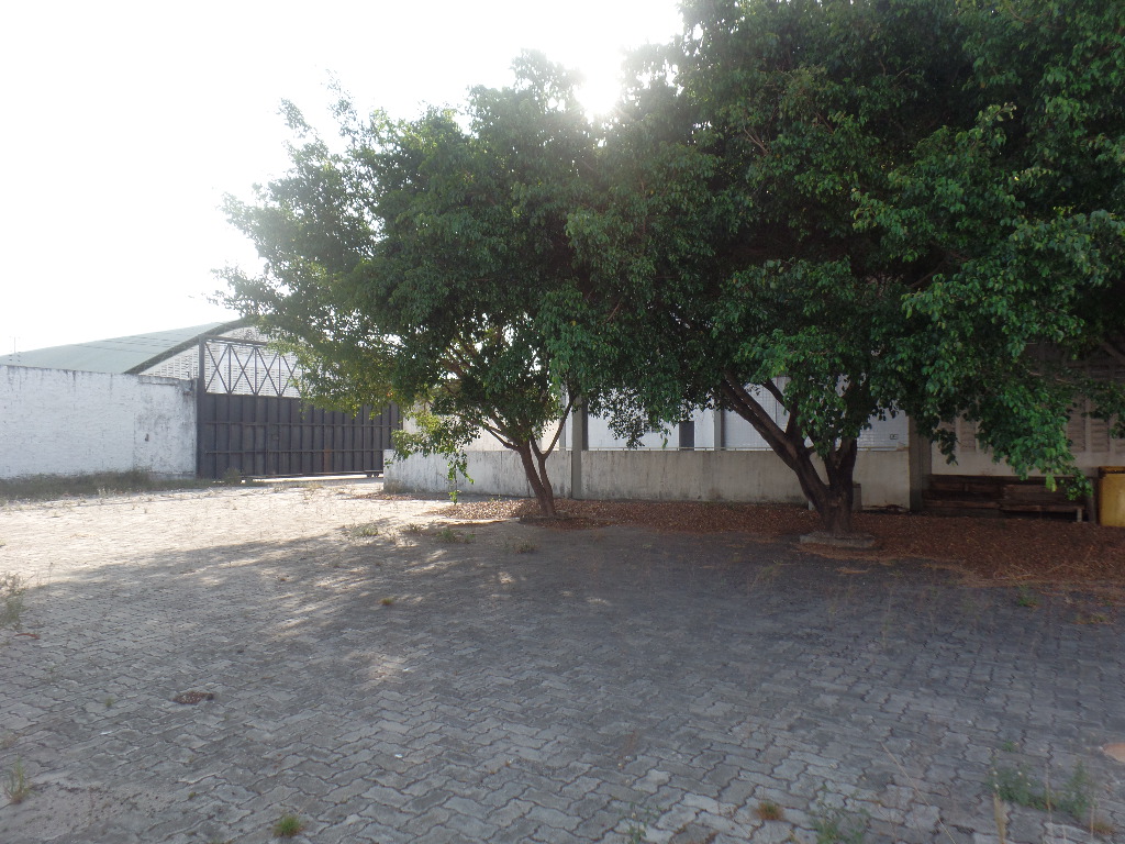 &Aacute;REA EXTERNA ANGULO V