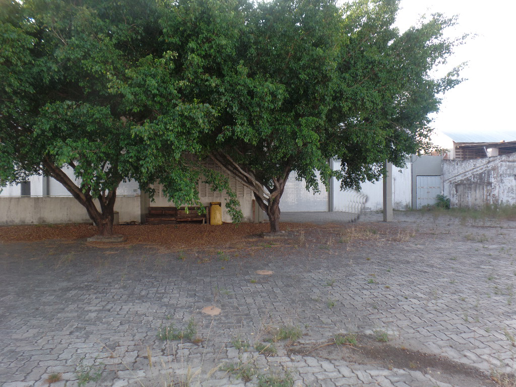 &Aacute;REA EXTERNA ANGULO VI