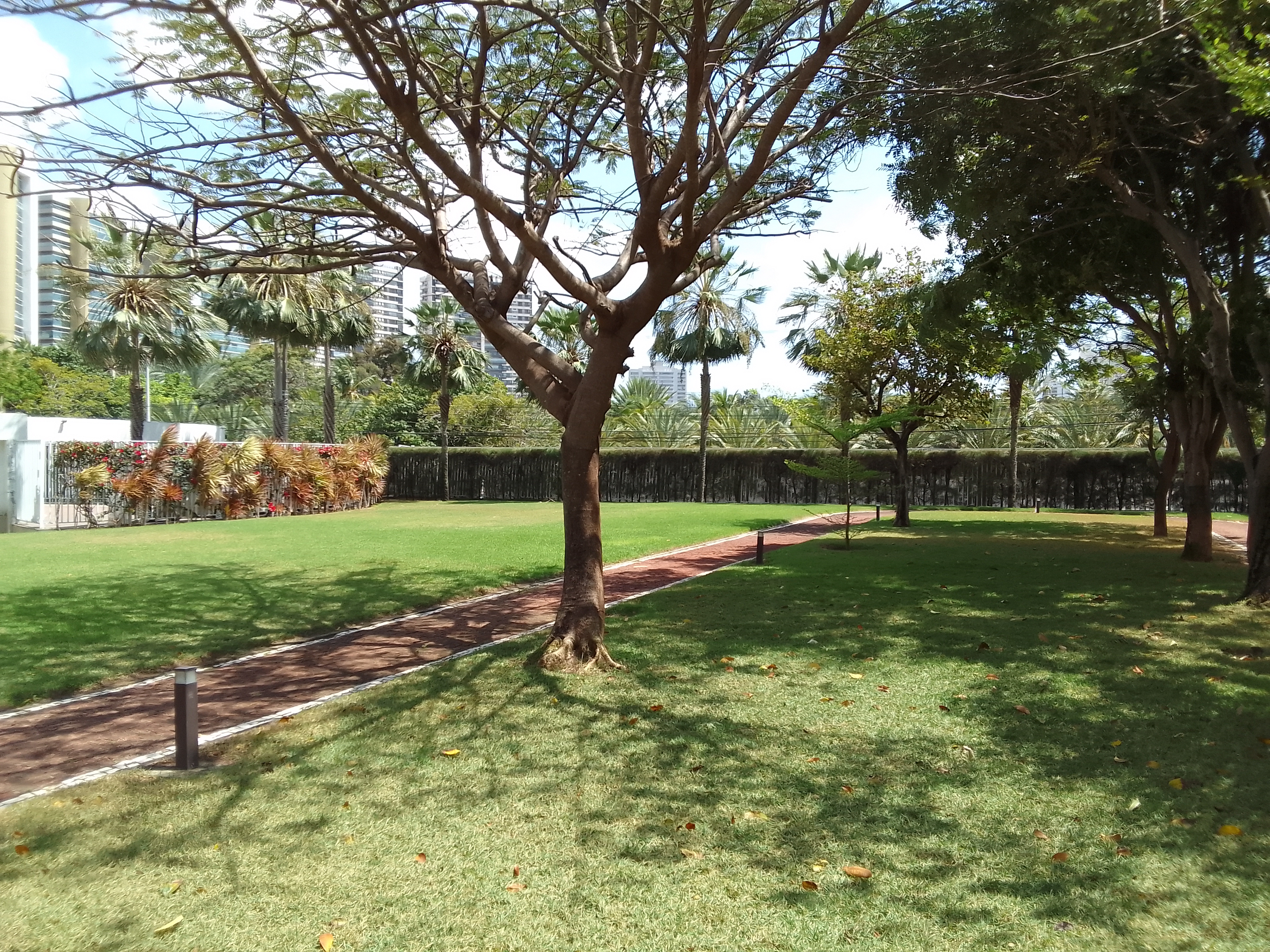 PATIO INTERNO / &Aacute;REA DE LAZER