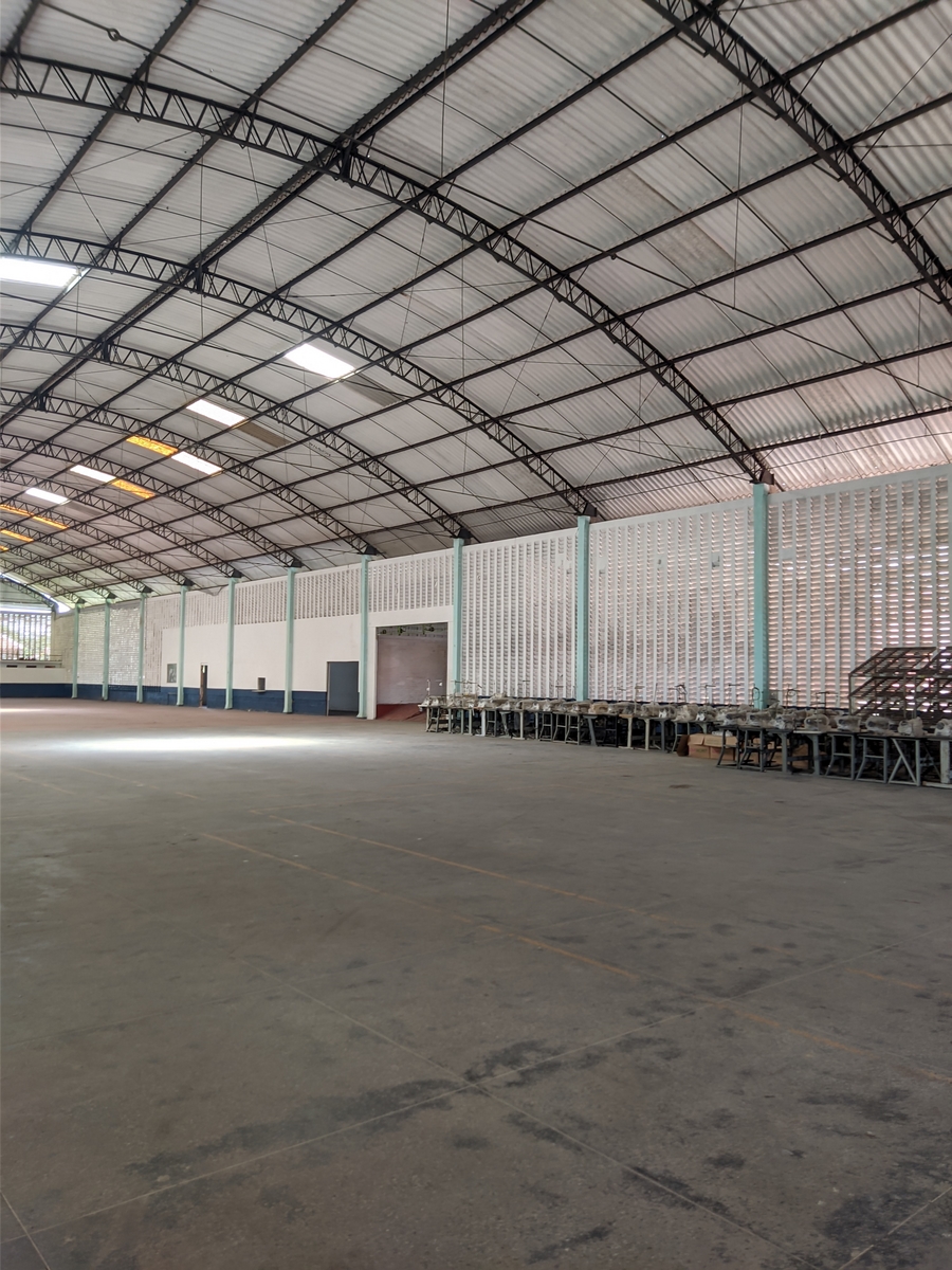 GALP&Atilde;O 02 ANGULO II