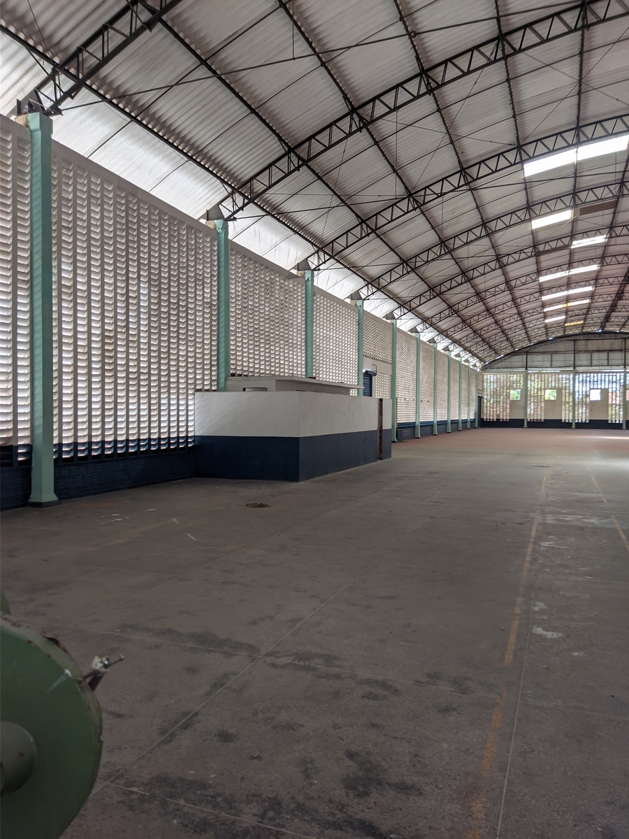 GALP&Atilde;O 02 ANGULO III