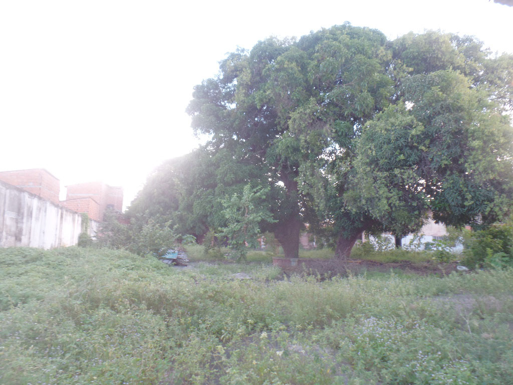 &Aacute;REA DE MANOBRA FUNDOS