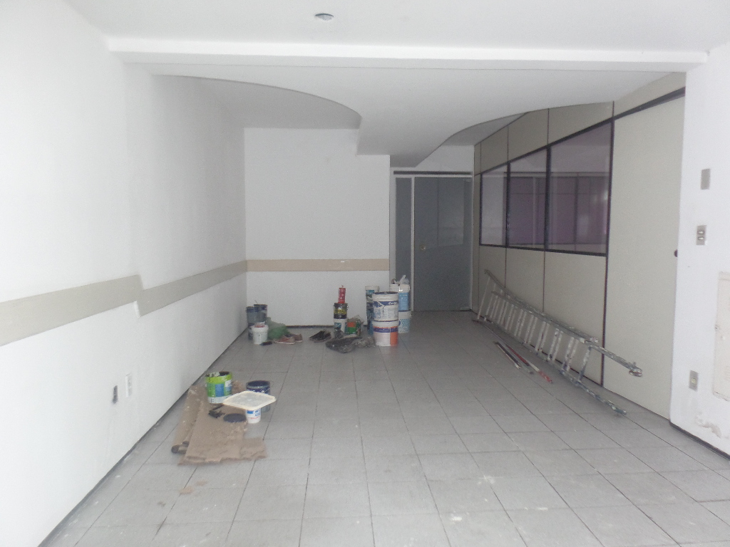 &Aacute;REA DE CIRCULA&Ccedil;&Atilde;O T&Eacute;RREO