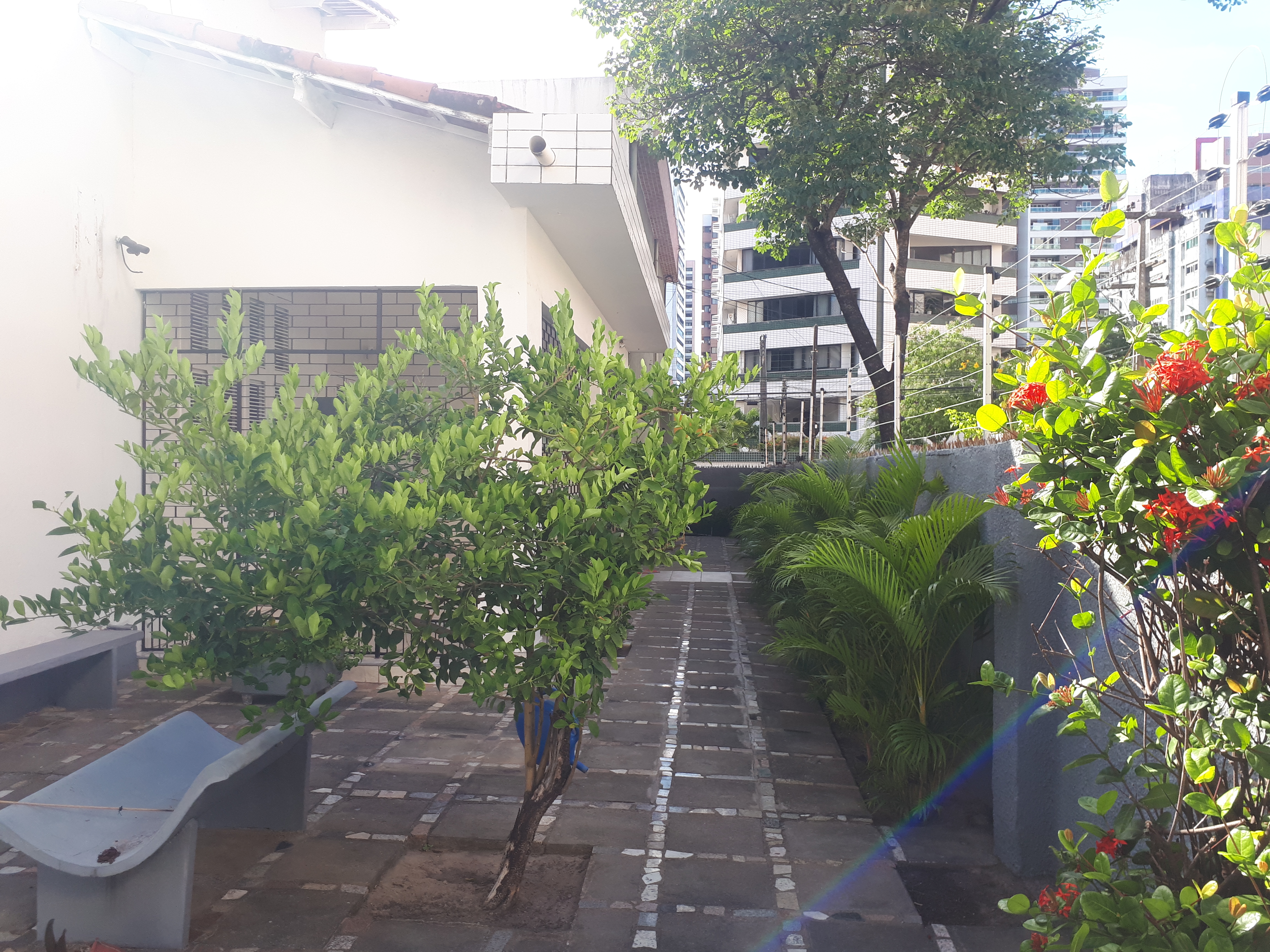 CORREDOR LATERAL ANGULO II