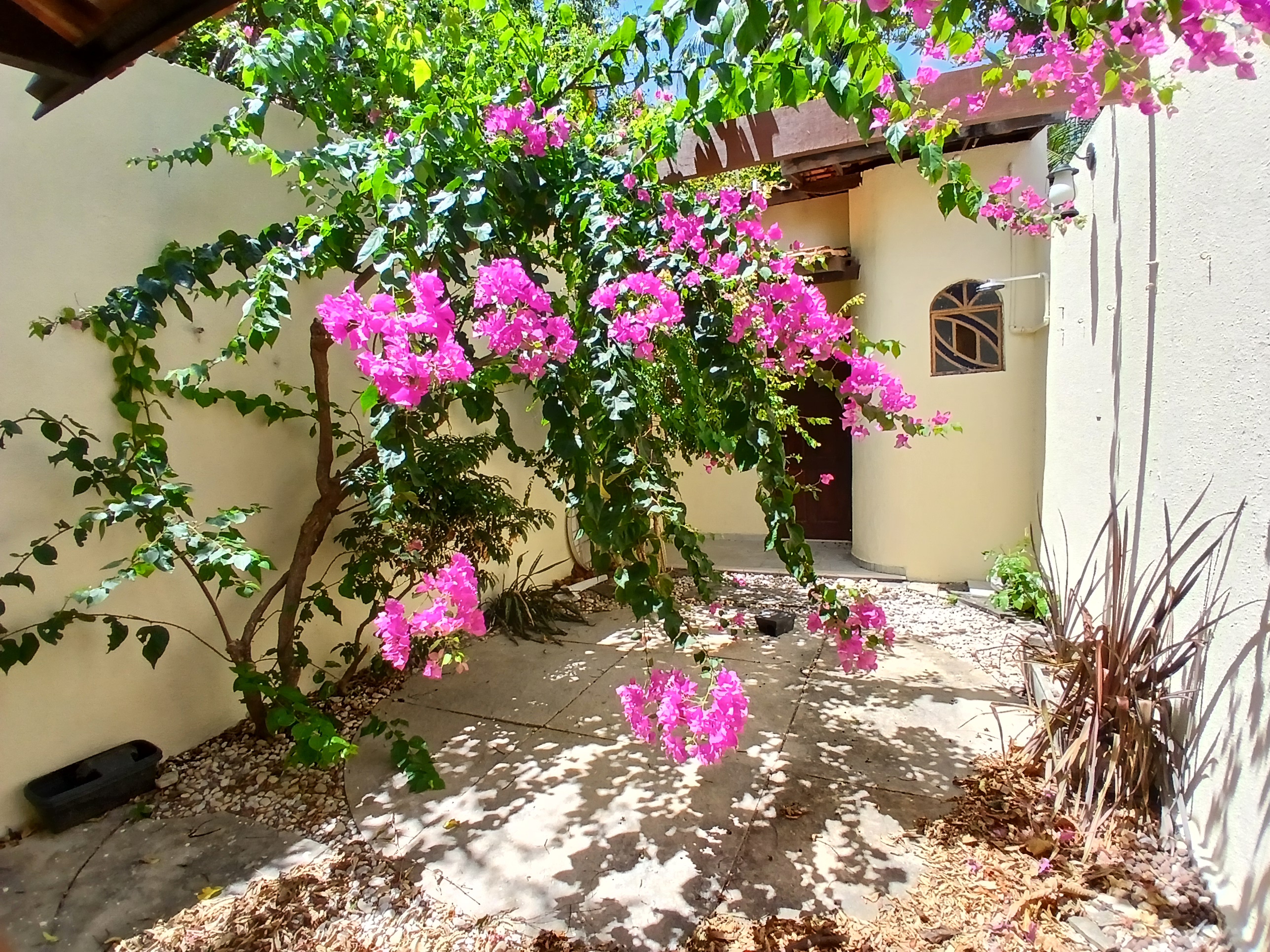 AREA EXTERNA / QUINTAL