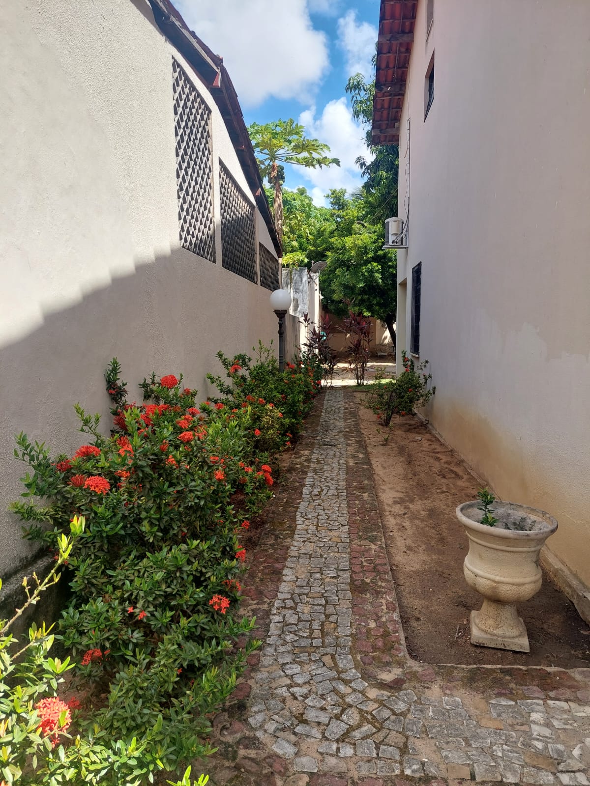 AREA EXTERNA