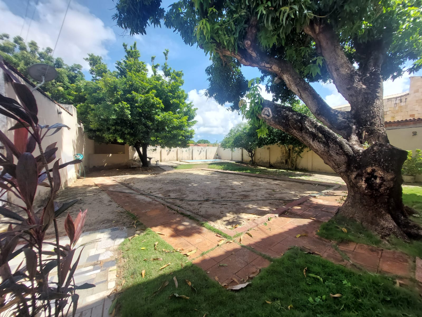 QUINTAL ANGULO II